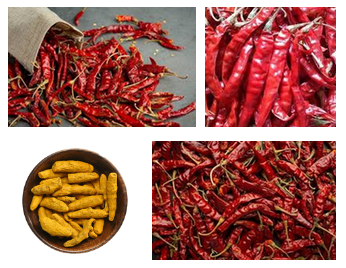 Exquisite Spices